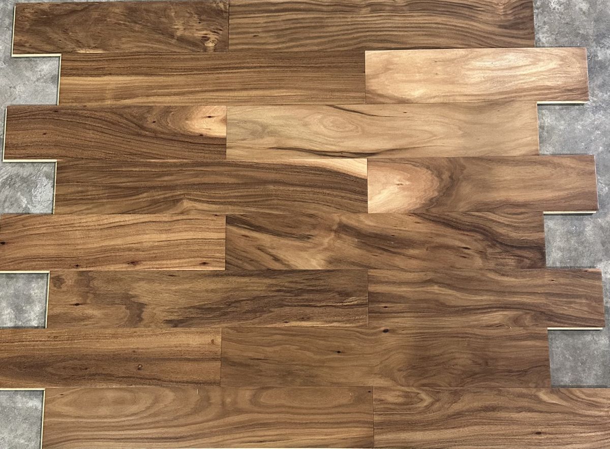 Long Leaf acacia 2.jpg