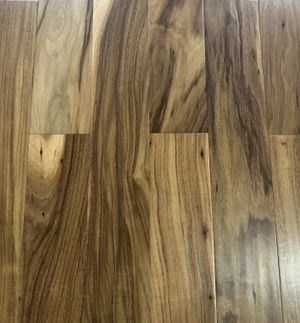 Long Leaf Acacia Cover.jpg