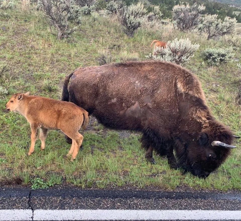 Gallery Page Image 5.jpeg