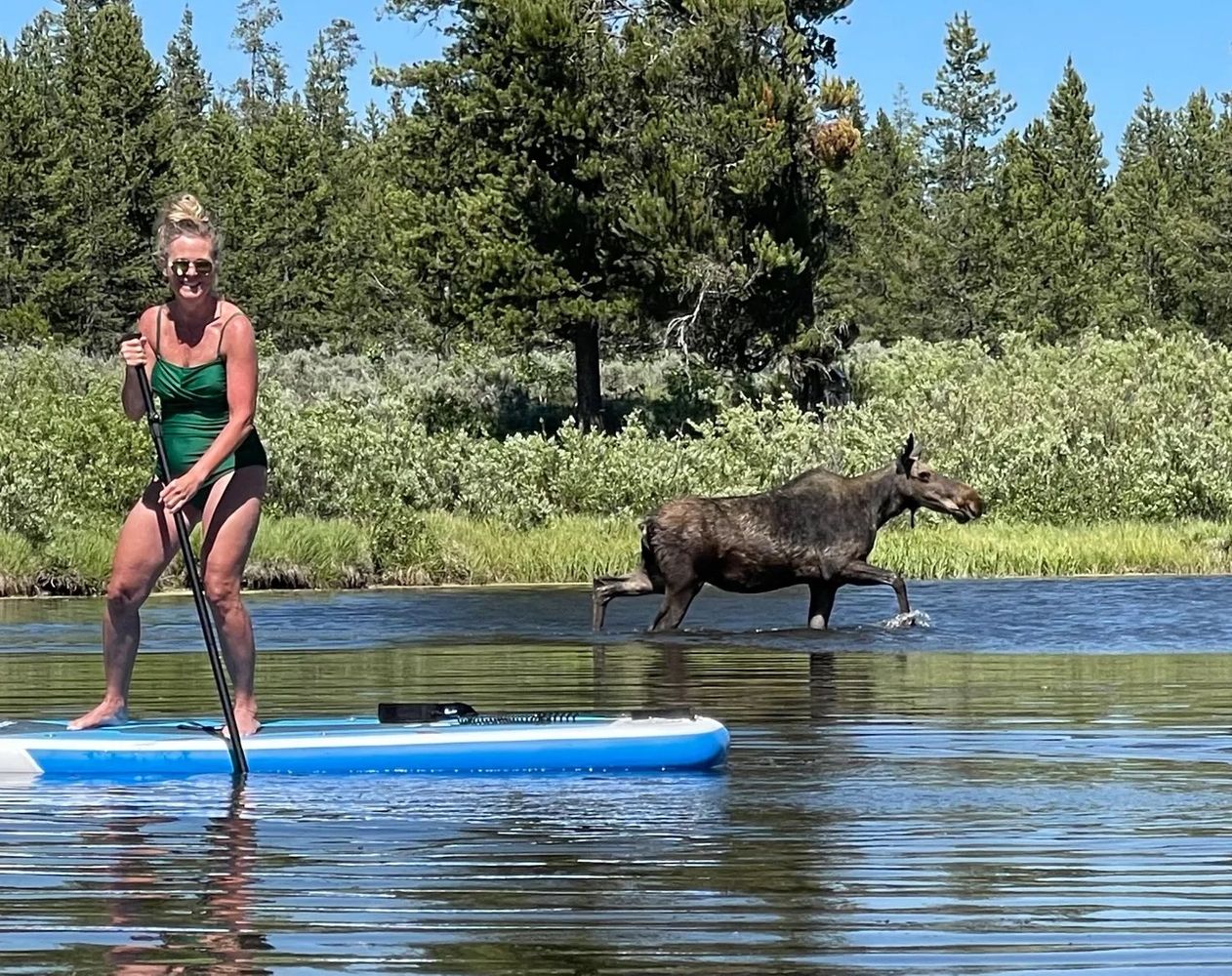 Gallery Page Image 17.jpeg