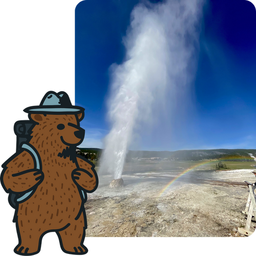 A photo of a tall geyser erupting under a blue sky with a faint rainbow in the mist. A cartoon brown bear wearing a ranger hat and backpack is superimposed in the bottom left corner.