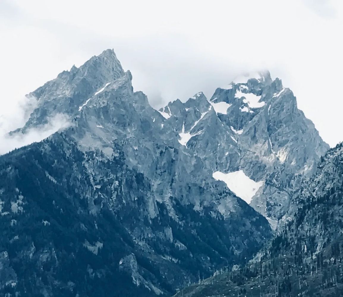 Gallery Page Image 21.jpeg