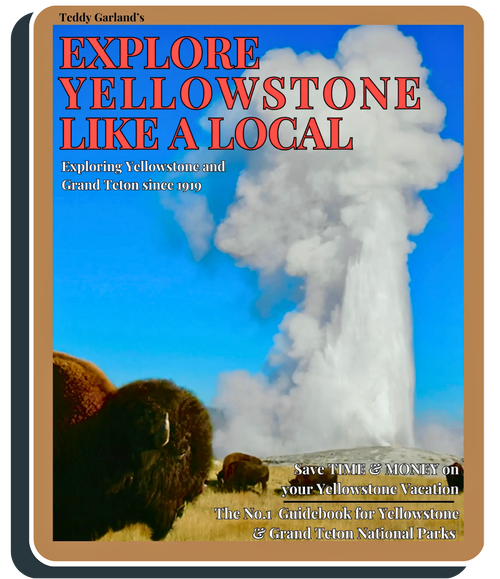 A guidebook cover titled "Explore Yellowstone Like a Local." The background shows a large bison in a field with the Old Faithful geyser erupting in a tall white plume behind it.