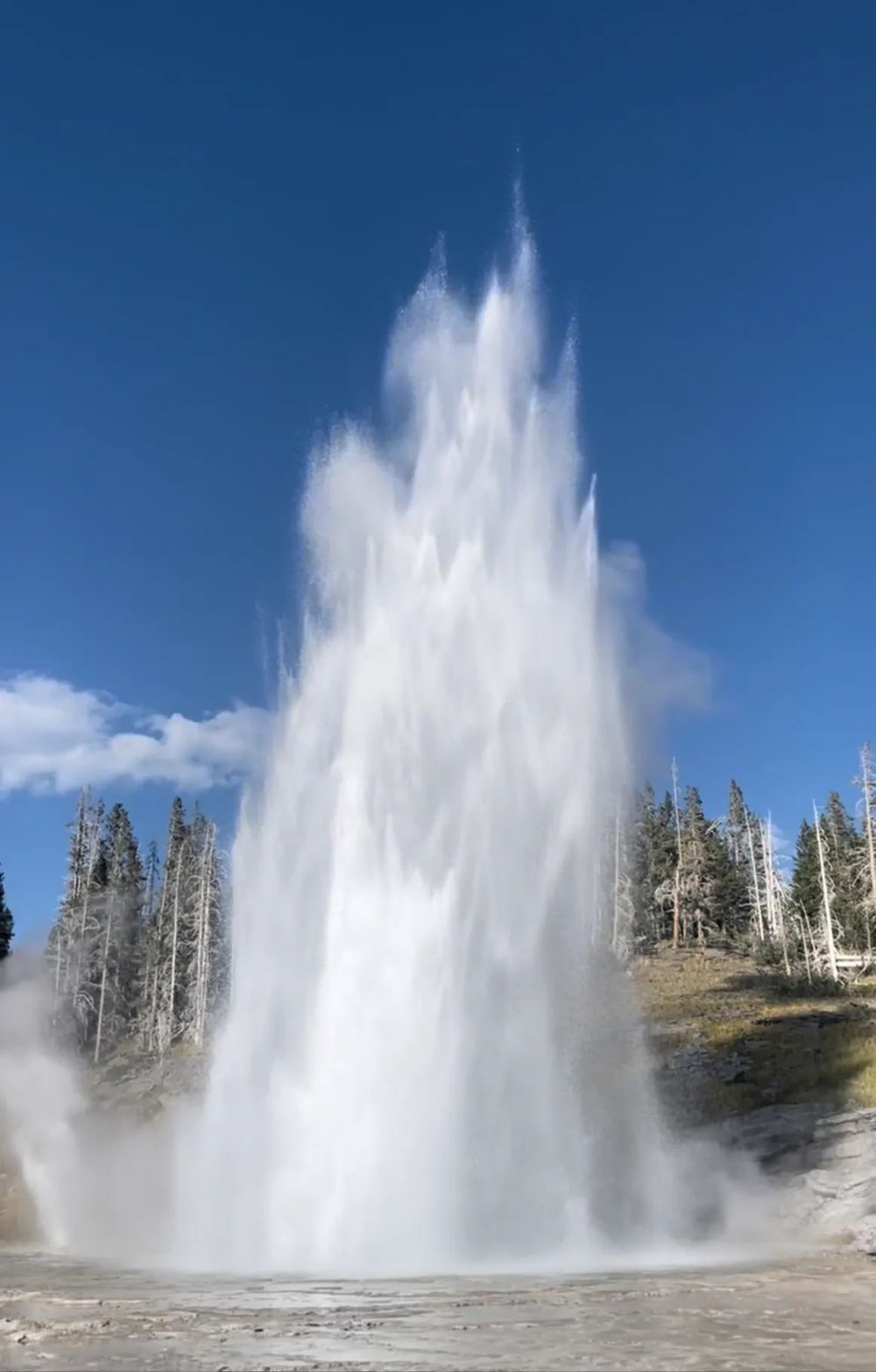 Gallery Page Image 13.jpeg