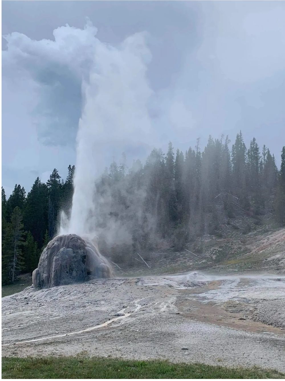 Gallery Page Image 10.jpeg