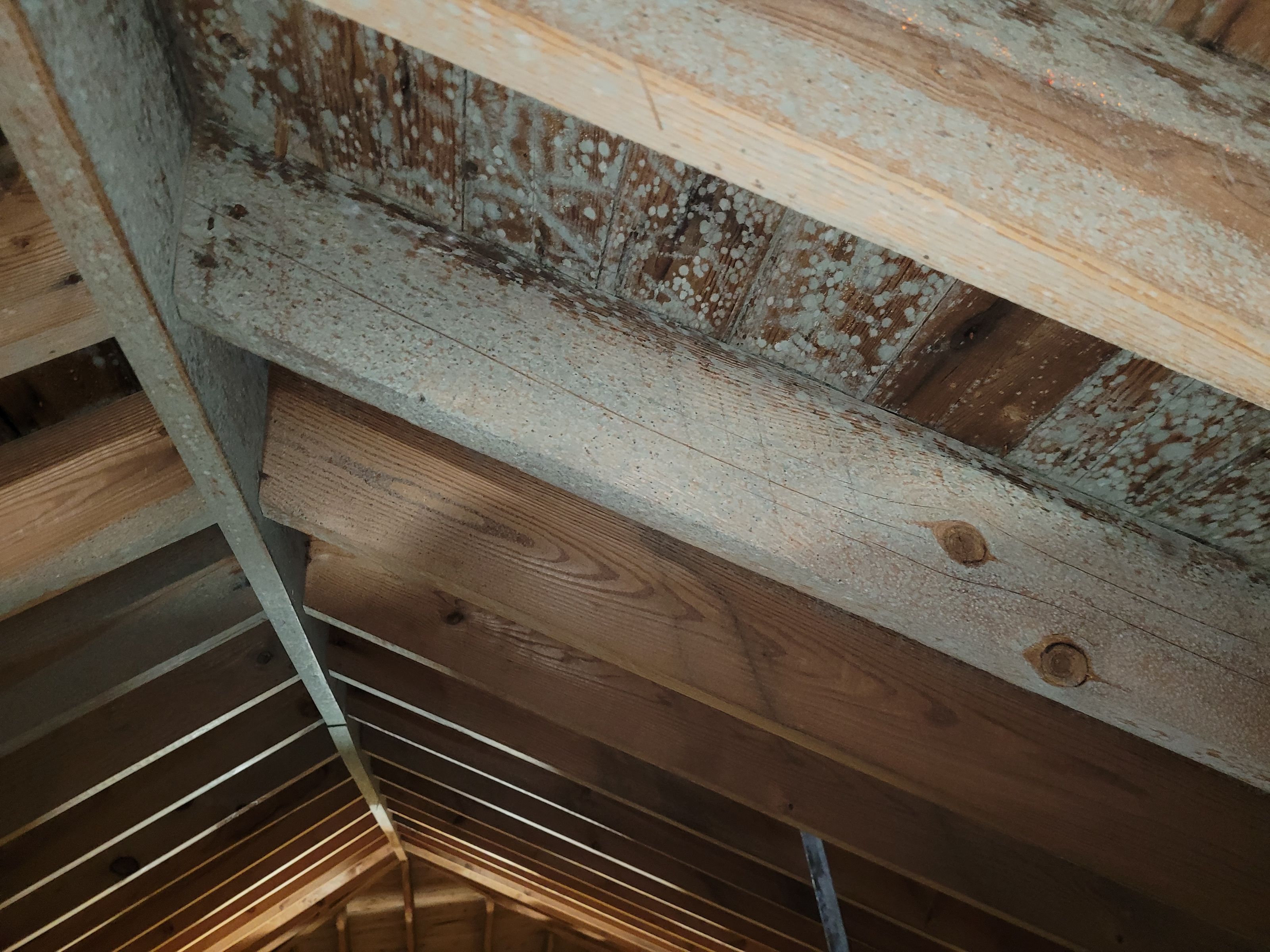 Astrid February 2026 Blog.jpg