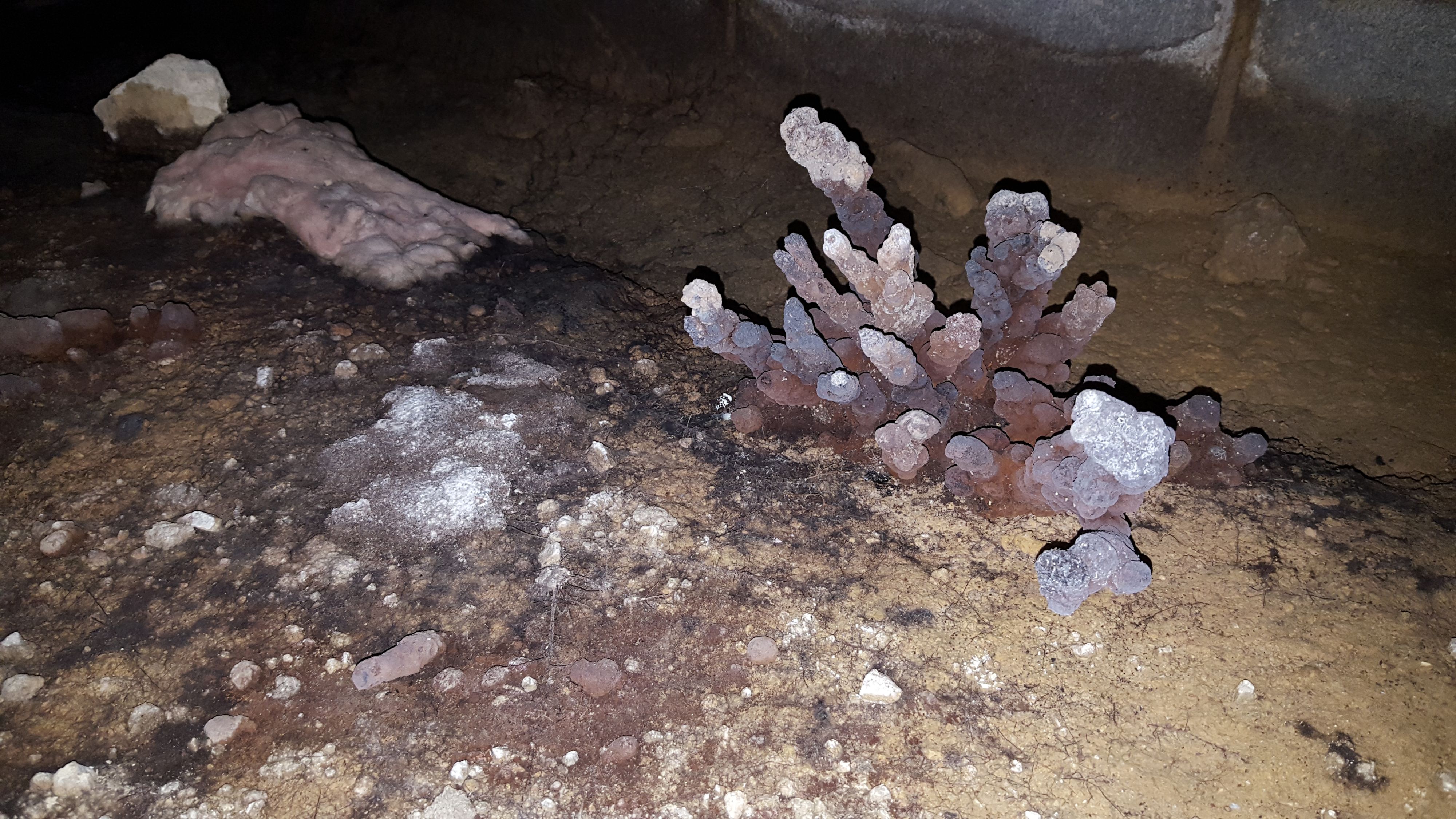 Astrid April 2026 Blog.jpg