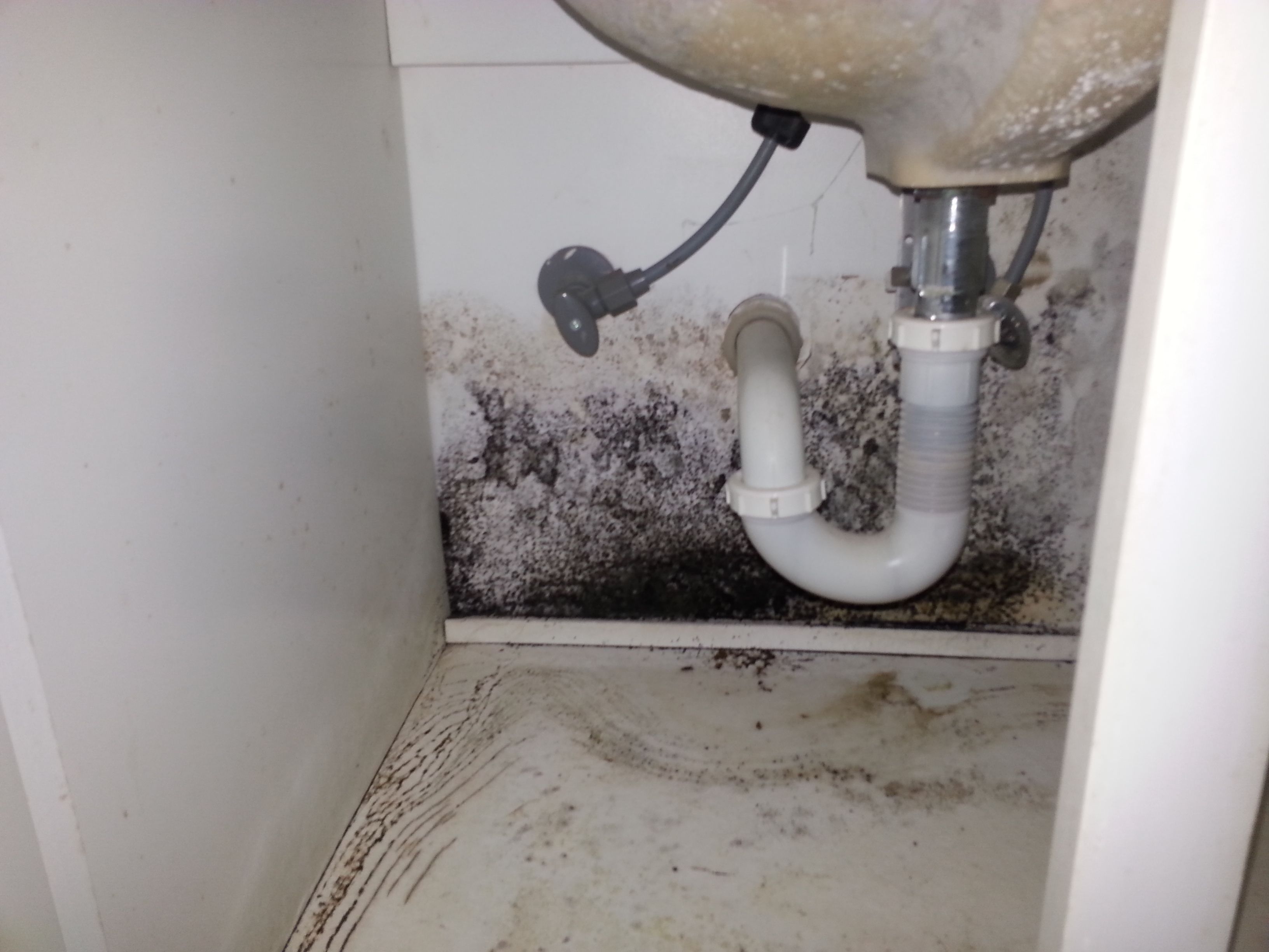 AES March 2026 Blog.jpg