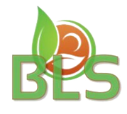 BLS logo.png