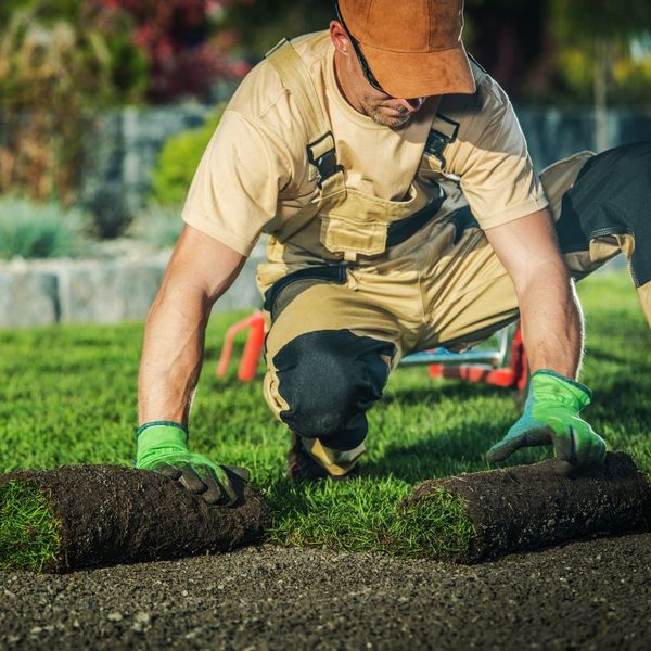 Things to Consider Before Choosing a Landscape Contractor 1.jpg