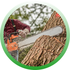 Circular icon showing a close-up of a chainsaw blade cutting deep into a thick tree trunk.