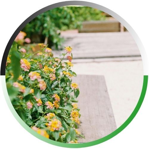 A circular icon featuring a close-up of colorful yellow and pink flowers blooming in a garden bed next to a wooden walkway.