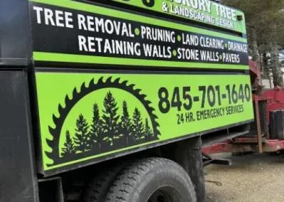 imgi_2_Tree-Service-400x284.jpg