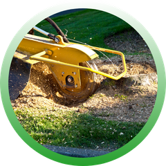 Circular icon showing a yellow stump grinder machine in action, spraying wood chips as it grinds a stump into the grass.