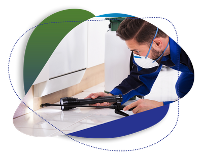 Our pest control approach is the best in the industry