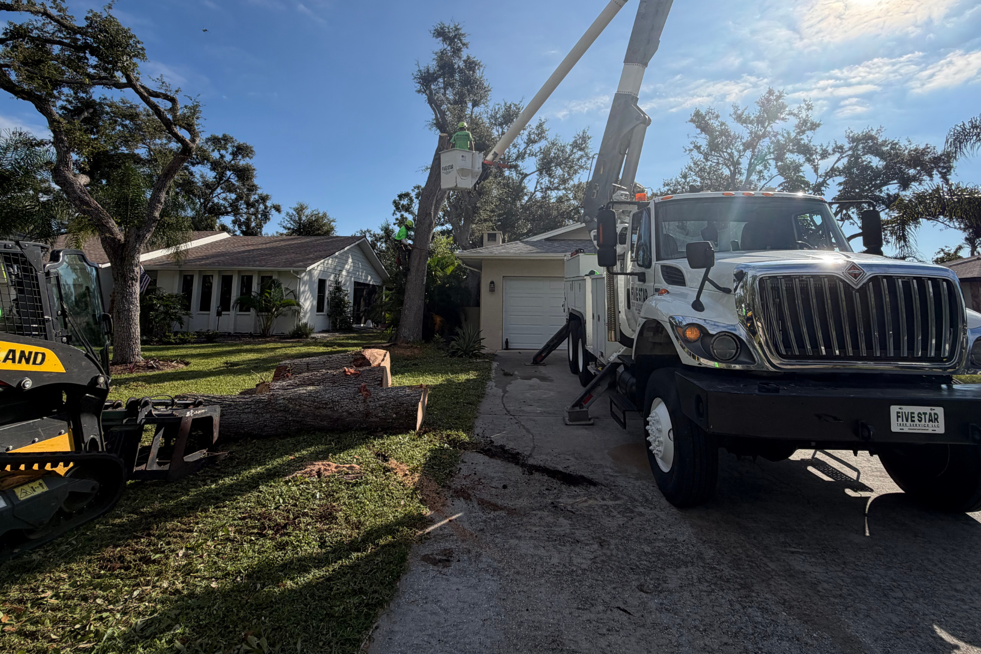 Untitled design (19).png