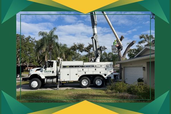 5 Star Service Truck clearing tree branches over a home 5 Star Service Truck clearing tree branches over a home