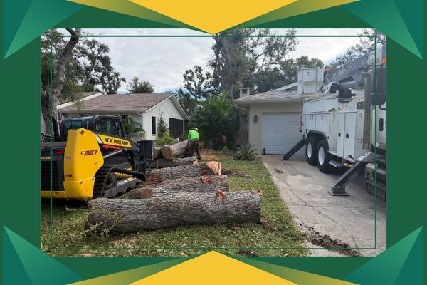 Large tree branches laying flat next to tree trimming machinery Large tree branches laying flat next to tree trimming machinery