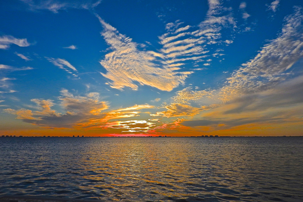 Lake Sarasota - 3.png