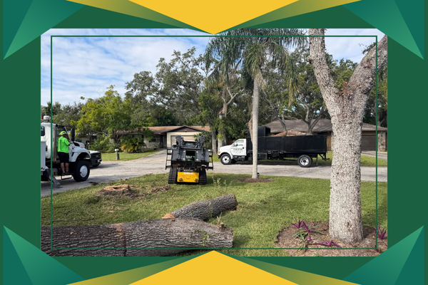 3 land clearing .png