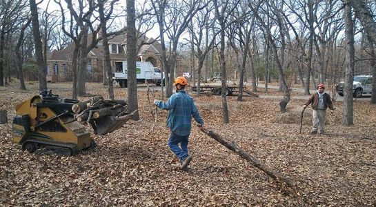 Land Clearing Land Clearing