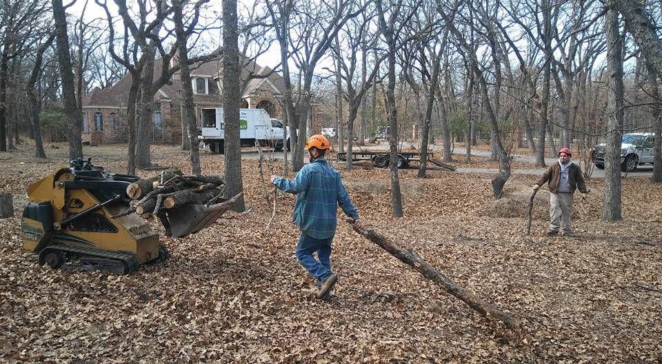 Land Clearing Land Clearing
