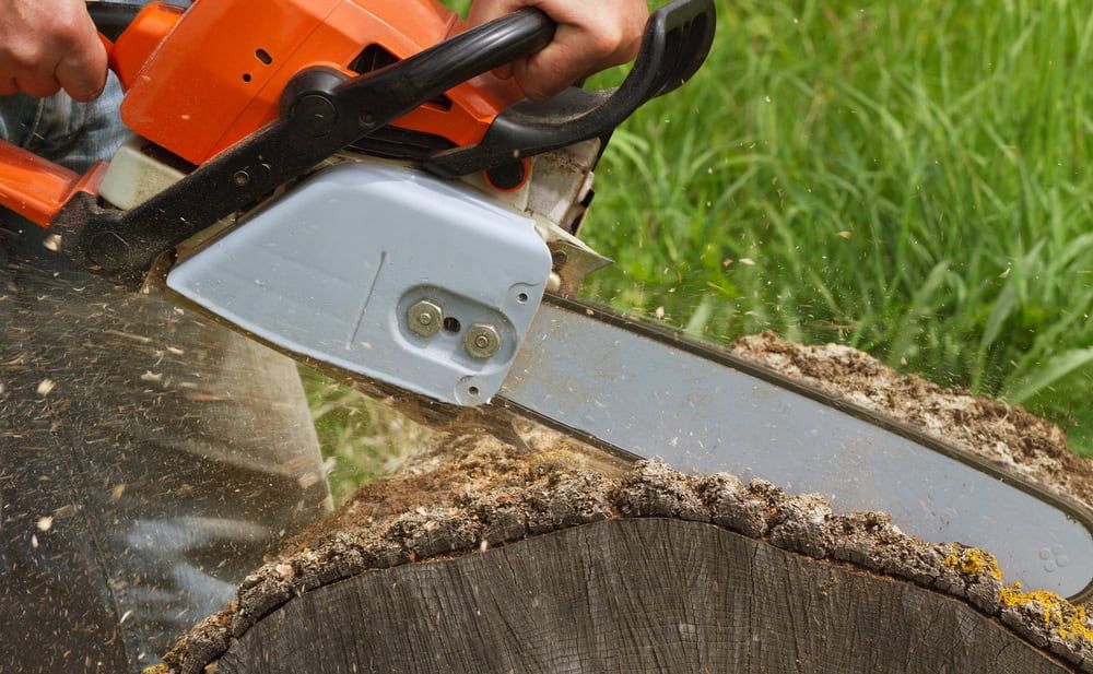 chainsaw log