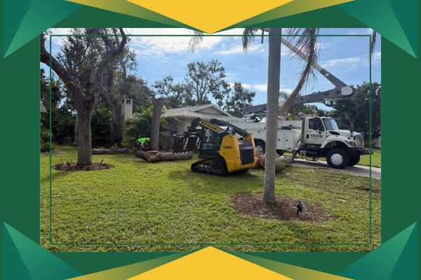 Excvator and other machinery in residential yard Excvator and other machinery in residential yard