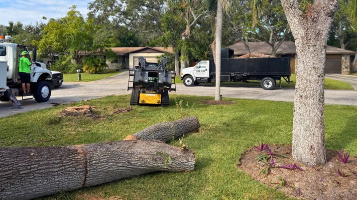 Five Star Tree Service truck and heavy equipment performing professional tree removal in a residential yard