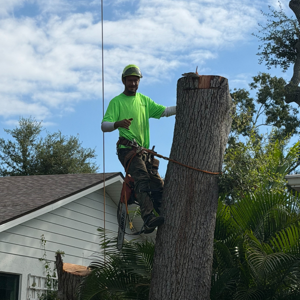 Untitled design (24).png