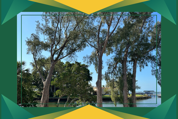 M330554 - Page Build Images (4).png