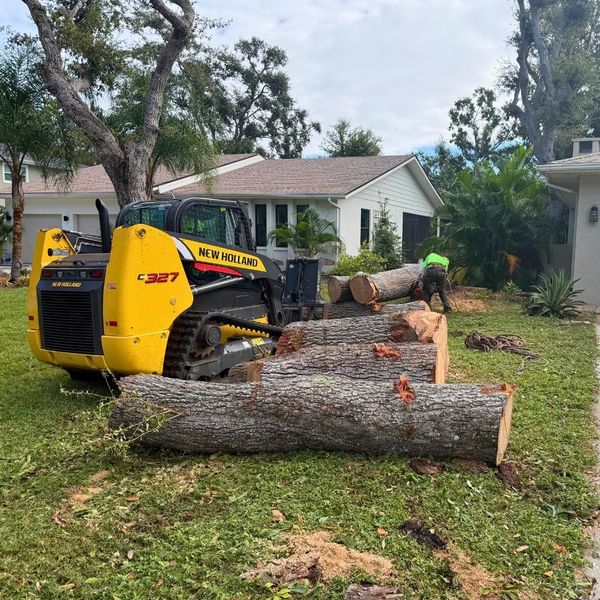 trees being removed in front of a single-family home
