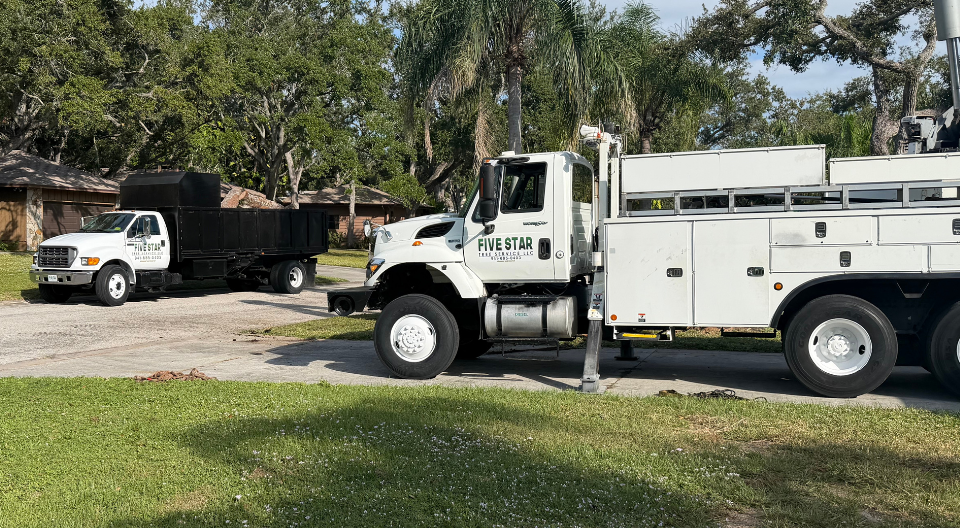 Untitled design (26).png