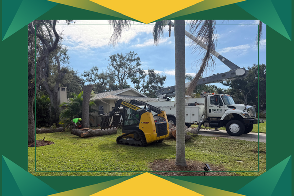 M330554 - Page Build Images (3).png