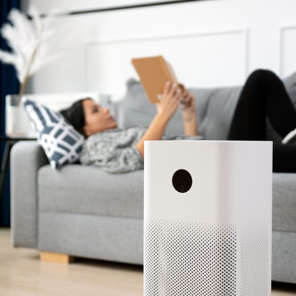 The Benefits of Investing in an Air Purifier for Your California Home 1.jpg