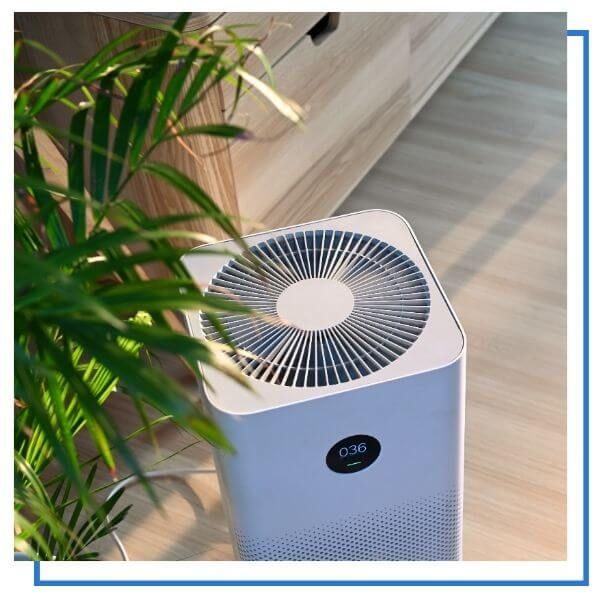 Air purifier 