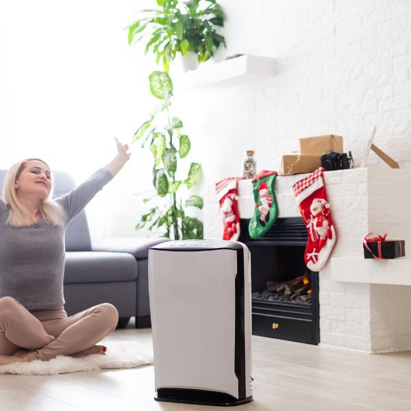 The Benefits of Investing in an Air Purifier for Your California Home 4.jpg