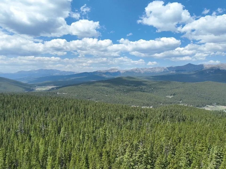 de752463-c14f-468f-9334-722e7c66d301.jpg