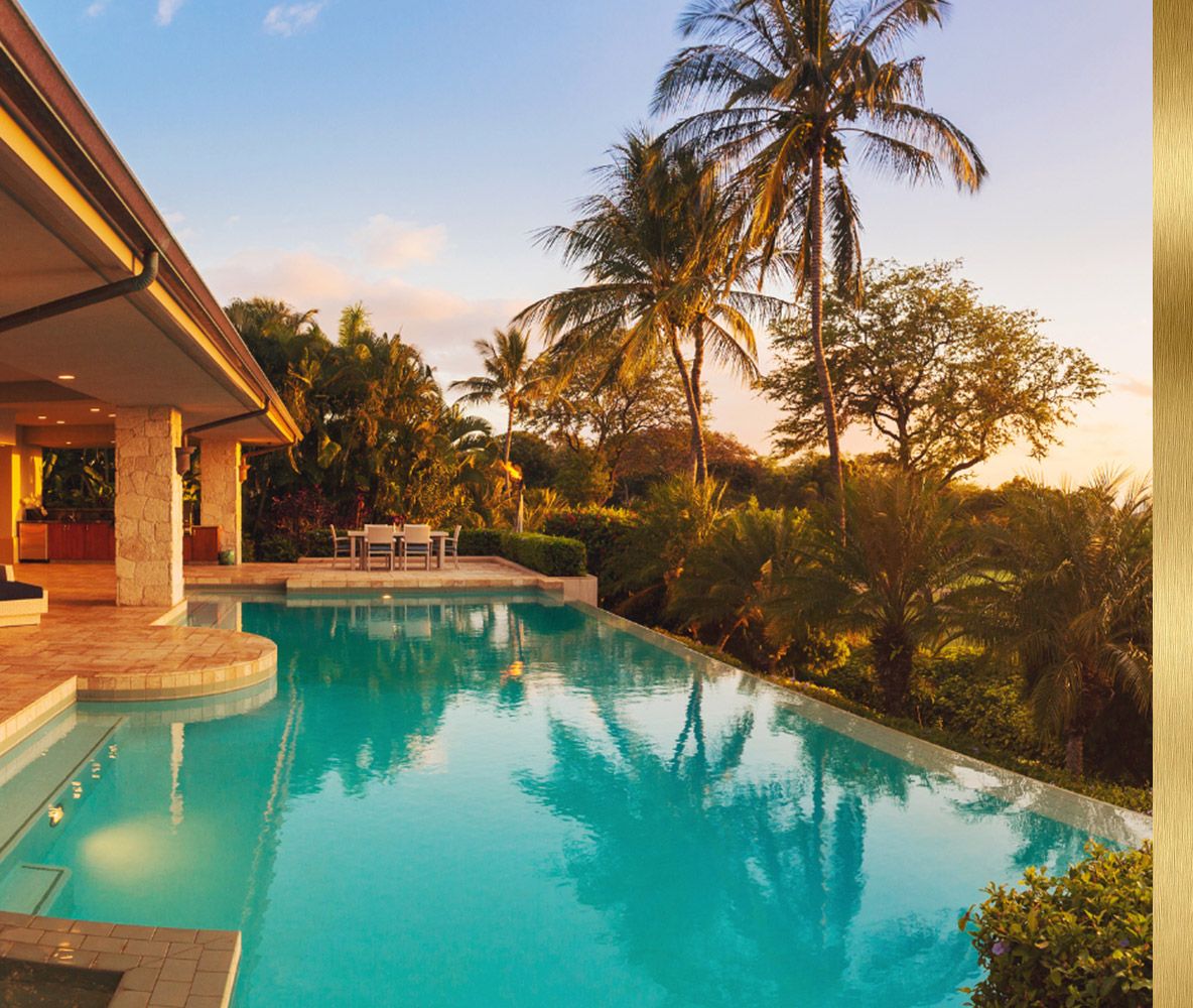 pool and palm trees at sunset