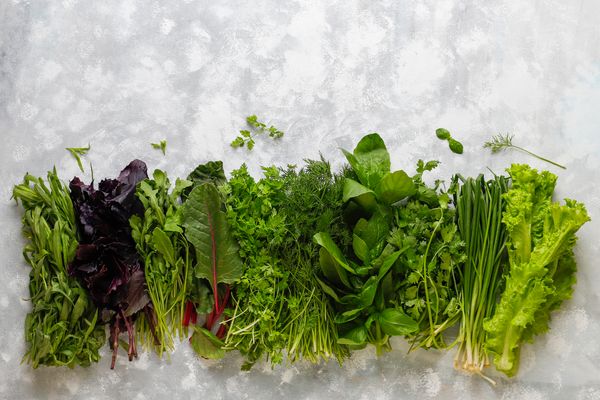 fresh-greens-basil-coriander-lettuce-purple-basil-mountain-coriander-dill-green-onion-plastic-boxes-grey-concrete.jpg