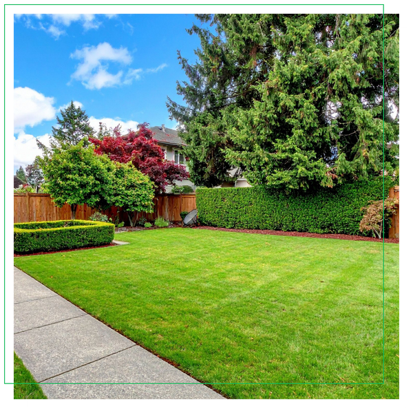 Family Owned (1).png