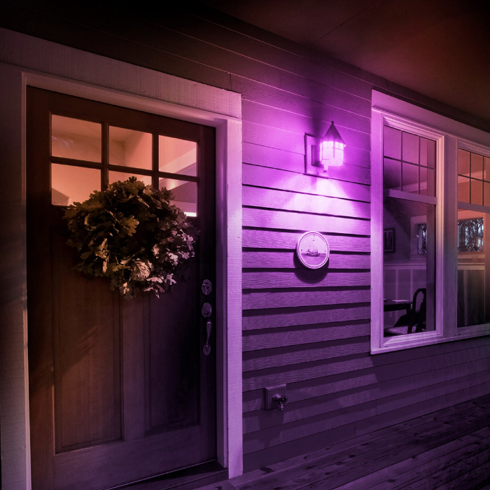 house with purple lighting