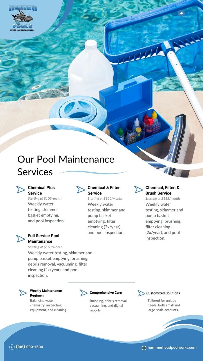 Swimming Pool Maintenance Services Infographic