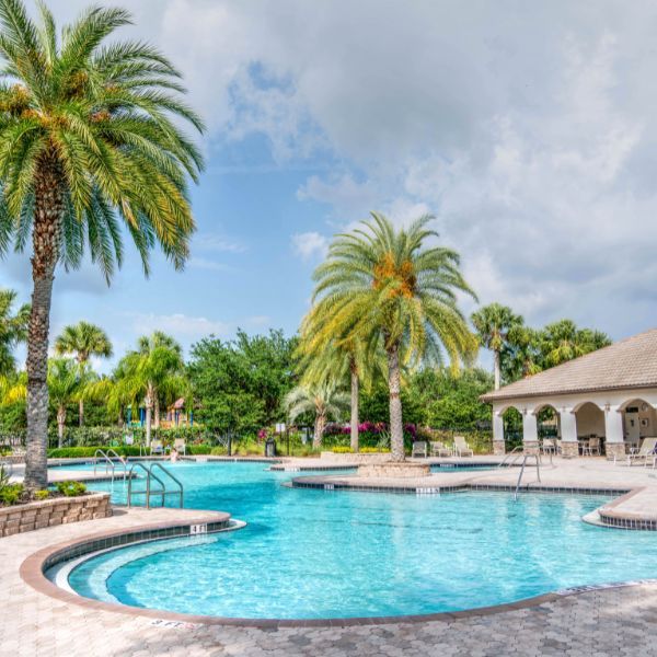 large elaborate pool with palm trees