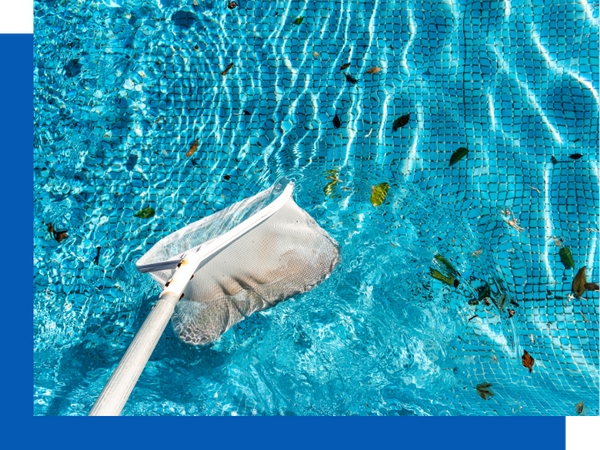 cleaning leaves out of a pool