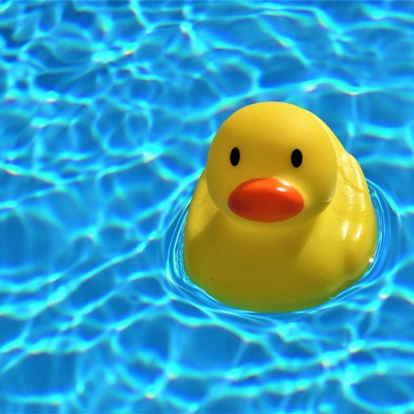 rubber duck on bright blue pool water