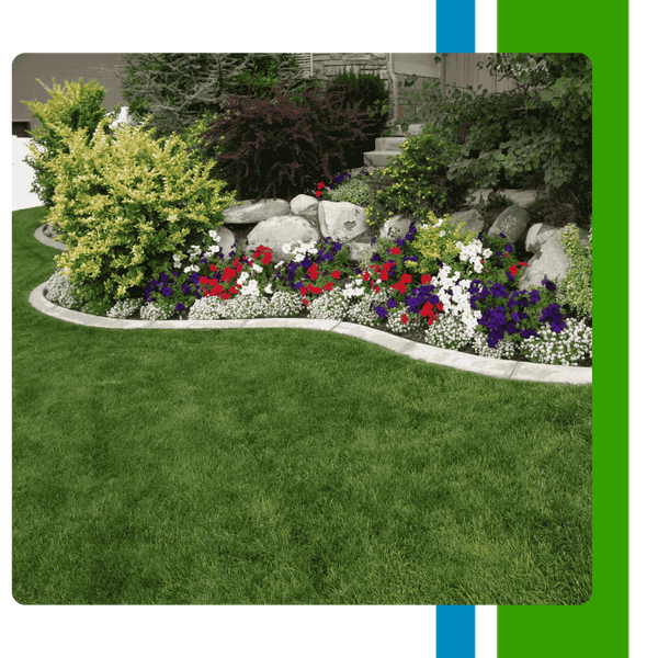 In Content Images (2).png