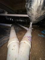IMG_9479.jpeg