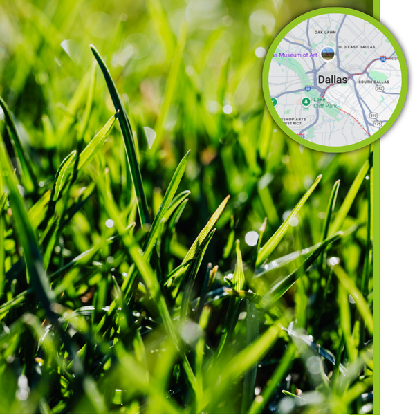 Areas We Serve - Image 4.png