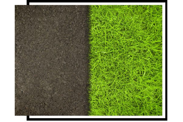 image that's half dirt half grass